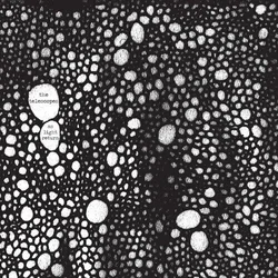 The Telescopes - As Light Return (LP + CD)