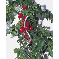 Windhager pritka za paradajz spiralna 180cm ( WH 05645 )