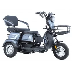 Električni tricikl 14 TITAN 250W 48V/20Ah siva