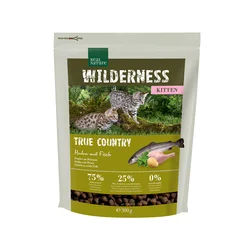 Real Nature | Cat Wilderness Kitten True Country