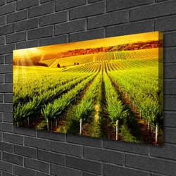 tulup.si Slika na platnu Polje nature 100x50 cm