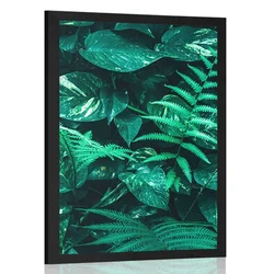 Plakat sveži tropski listi - 60x90 silver