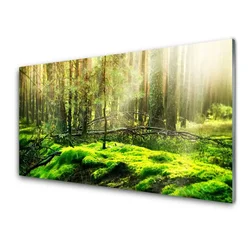 tulup.si Slika na akrilnem steklu Forest moss narava 100x50 cm 2 obešalnika