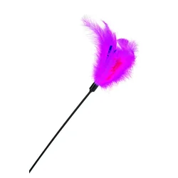 Beeztees Žogica za draženje mačk s kromom 45cm