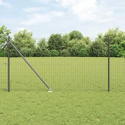 Euro ograda s špicama 25 x 1 m Čelik premazan PVC-om Siva Mreža