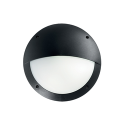 Ideal Lux - Spoljna zidna svetiljka LUCIA 1xE27/23W/230V IP66 crna