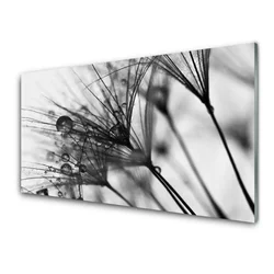 tulup.si Steklena slika Odvzem rastlin graphics 100x50 cm 2 obešalnika