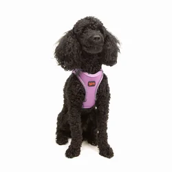 Paws & Whiskers Am za pse Air-Mesh, Lavanda