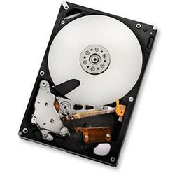HITACHI Hard disk 1TB HUA722010CLA330