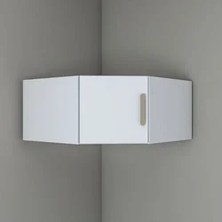 Hanah Home zidni ormarić BA168 4673, 91 cm, beli
