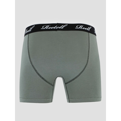REELL Trunks Boksarice grey green