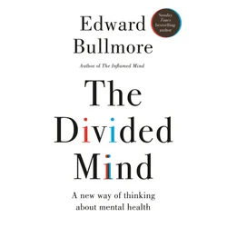 The Divided Mind