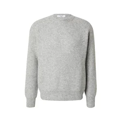 DAN FOX APPAREL Majica Michael pegasto siva