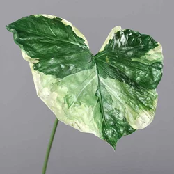 Umetni list 100 cm belo zelen