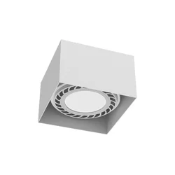 Brosline 1268 - Spot svetlo CAGE 1xGU10/18W/230V belo