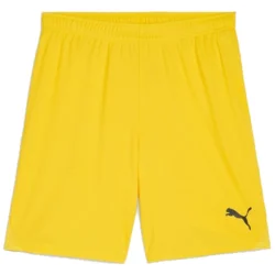 Kratke hlače Puma teamGOAL Short