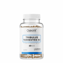 Tribulus Terrestris 90 1000mg 60 kapsula