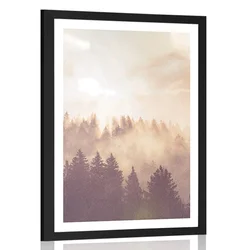 Plakat s paspartujem megla nad gozdom - 60x90 silver