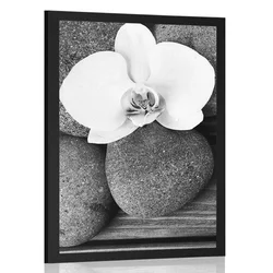 Plakat wellness kamni in orhideja na lesenem ozadju v črnobeli varianti - 20x30 no frame