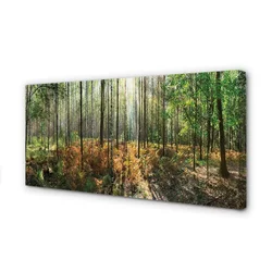 tulup.si Slika na platnu Gozd drevo breza 140x70 cm
