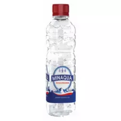 VODA MINAQUA NEGAZIRANA 0,33L PET