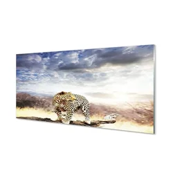 tulup.si Steklena slika Panther oblaki 100x50 cm 4 obešalnika