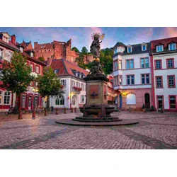 BlueBird - Puzzle Heidelberg, Nemčija - 1 000 kosov