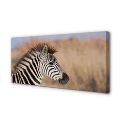 tulup.si Slika na platnu Prehod za pešce 140x70 cm