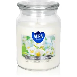 BISPOL Premium Line Jasmine dišeča sveča 500 g