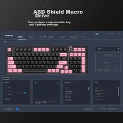 Ausdom Tastatura, Šarena