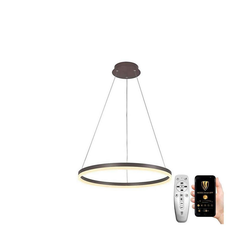 Brilagi - LED prigušiva luster na sajli CIRCLE LED/42W/230V 3000-6500K braon+daljinski upravljač