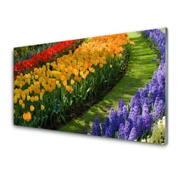 tulup.si Slika na steklu Tulipani rože vrt 100x50 cm 2 obešalnika