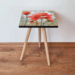 Hanah Home Klub sto Shp301, 35x42x35 cm, Šareni