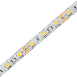 Braytron LED traka BRY-ECOLINE-12W-60L-5050-YLW-12V-IP20