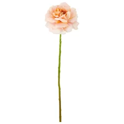 Ruža 63cm Rose Ii