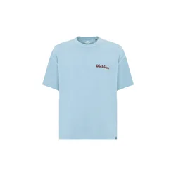 DICKIES Majica Slayden svetlo modra/rjava