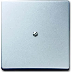 Busch-Jaeger Busch-Jaeger Slepi centralni disk alusil 2138-33, (20993108)
