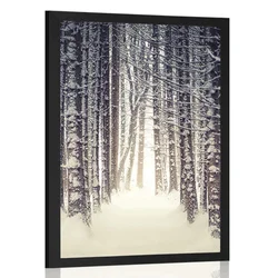 Plakat gozd prekrit s snegom - 60x90 white