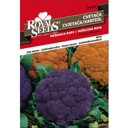 SEME ROYAL SEEDS 5 Cvetača Oranžna&Vijolična