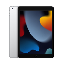 Apple iPad 9 10.2 (2021) WiFi + Cellular 256GB Silver