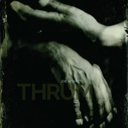 Joe Henry - Thrum (2 LP)