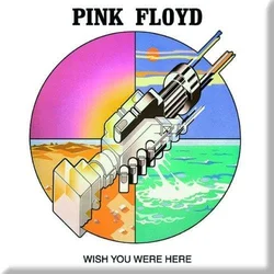 PINK FLOYD-WISH YOU WERE HERE MAGNET