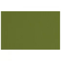 Papir u boji B2 220g Elle Erre Fabriano 42450728 maslinasto zeleni (verdone) pk20