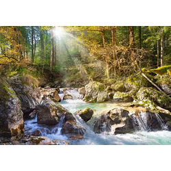 Castorland - Puzzle Forest Creek - 2 000 kosov