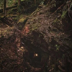 Baptists - Bushcraft (LP)