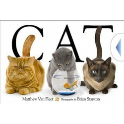 Matthew Van Fleet,Brian Stanton - Cat