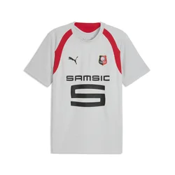 PUMA Stade Rennais Training Jersey Men, Sport, Cool Light Gray/Red, L