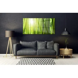 tulup.si Steklena slika Bamboo rastlin 140x70 cm 2 obešalnika