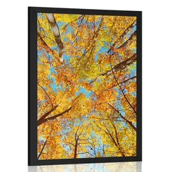 Plakat jesenske krošnje dreves - 20x30 white