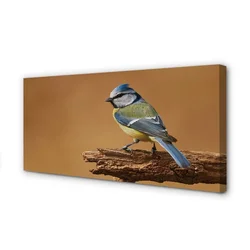 tulup.si Slika na platnu Bird 100x50 cm